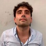 Ovidio Guzmán se declara culpable en EU