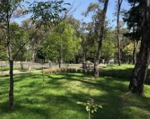 Sujetos encapuchados despojan de sus pertenencias a dos mujeres en Los Fuertes