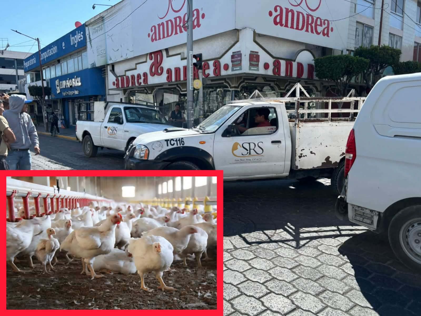 MARCHA POR MIGUEL N. PUSO EN PELIGRO A LAS GRANJAS DE TEHUACÁN