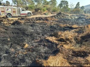 Sofocan incendio de pastizal en zona de El Oasis rumbo a Africam Safari