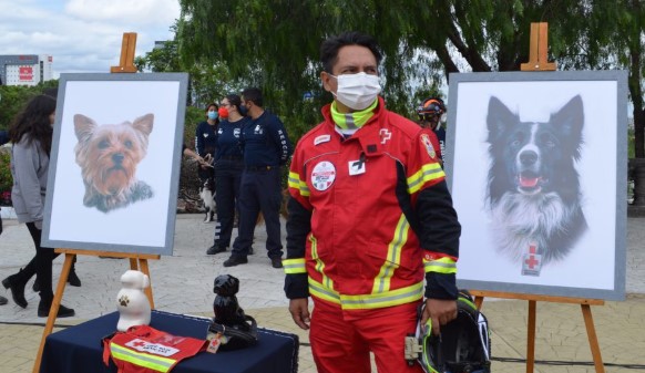 ATHOS Y TANGO: SCJN AVALA MENOR CONDENA PARA SU AGRESOR