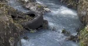 LOCALIZAN CUERPO SIN VIDA EN BARRANCA DE MAYORAZGO