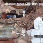 FEDERACIÓN ASEGURA LABORATORIOS DE DROGAS SINTÉTICAS