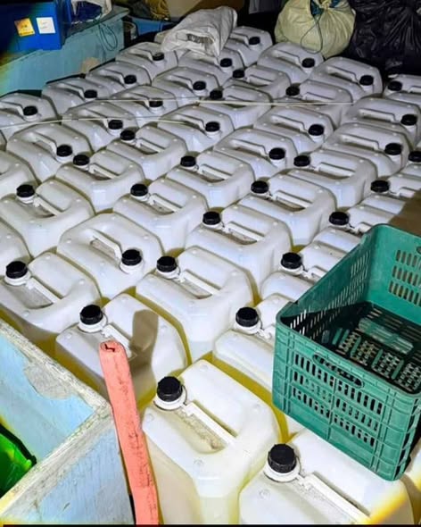 ASEGURAN DROGA, ARMAS Y COMBUSTIBLE EN CHIAPAS