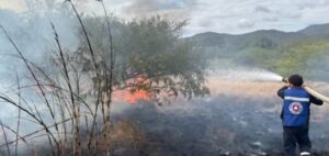 CONTROLAN INCENDIO DE PASTIZAL EN LA CURVA DEL MOLINO